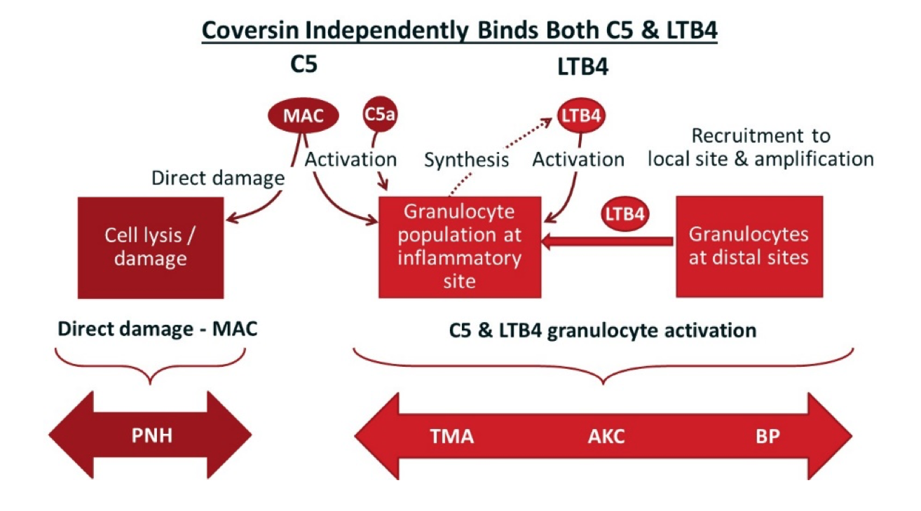 Is Azs Self Administered C5 Inhibitor The Cure Weve Been Waiting For - 4px184q
